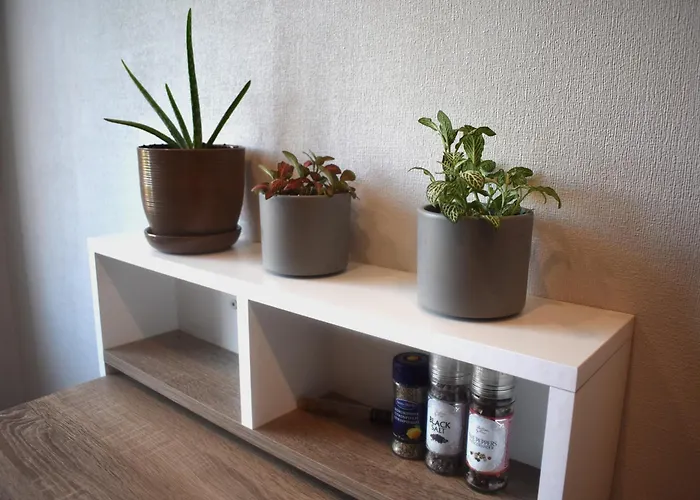 Near The Airport * Riga